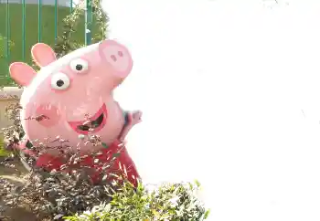 Efecto de fotos de la categoría Diversos para niños № 101439 Efecto de fotos de la categoría Diversos para niños № 101439