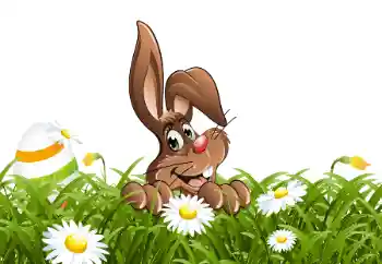 Efecto de fotos de la categoría Diversos para niños № 114706