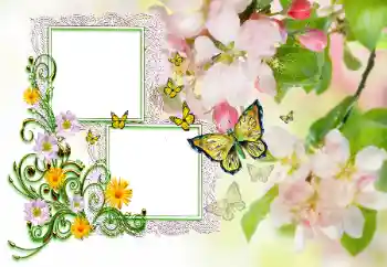 Inscripción en el marco: ¡Felicidades! Inscripción en el marco: ¡Felicidades!