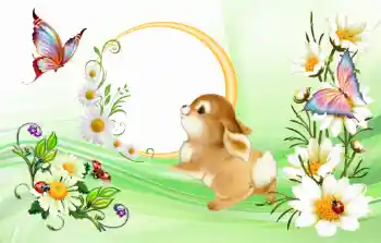 Efecto de fotos de la categoría Diversos para niños № 117348