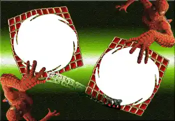 Inscripción en el marco: Spiderman