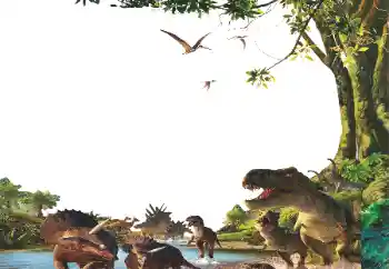 Efecto de fotos de la categoría Diversos para niños № 153254