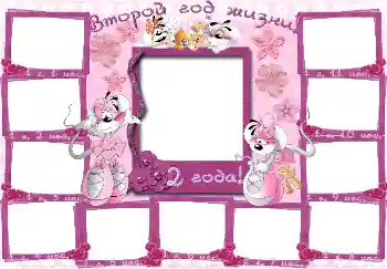 Inscripción en el marco: 2 años Inscripción en el marco: 2 años