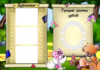 Inscripción en el marco: Schedule of teething Inscripción en el marco: Schedule of teething