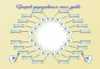 Inscripción en el marco: Schedule of teething Inscripción en el marco: Schedule of teething