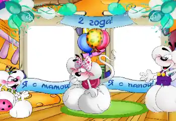 Inscripción en el marco: 2 años 