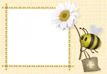 Efecto de fotos de la categoría Diversos para niños № 93368