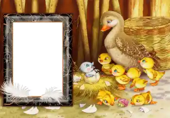 Efecto de fotos de la categoría Pueblo y casa rural № 166682