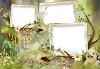 Efecto de fotos de la categoría Emociones de los niños № 105460