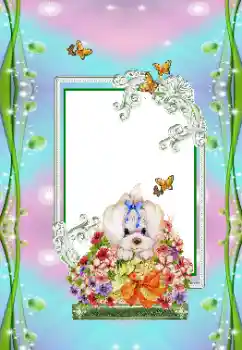 Efecto de fotos de la categoría Fiestas Infantiles № 151673 Efecto de fotos de la categoría Fiestas Infantiles № 151673