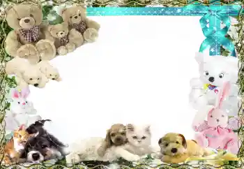 Efecto de fotos de la categoría Mis juguetes y mascotas № 158458