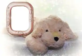 Efecto de fotos de la categoría Mis juguetes y mascotas № 169102