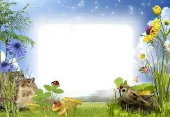 Efecto de fotos de la categoría En el seno de la naturaleza № 141000 Efecto de fotos de la categoría En el seno de la naturaleza № 141000