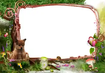 Efecto de fotos de la categoría En el seno de la naturaleza № 142331