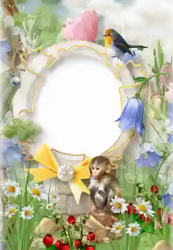 Efecto de fotos de la categoría En el seno de la naturaleza № 152975 Efecto de fotos de la categoría En el seno de la naturaleza № 152975