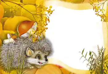 Efecto de fotos de la categoría En el seno de la naturaleza № 166562