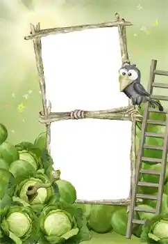 Efecto de fotos de la categoría El Primer año de vida № 140978