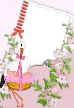 Efecto de fotos de la categoría El Primer año de vida № 150384