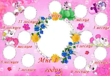 Inscripción en el marco: 1 año Inscripción en el marco: 1 año