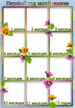 Inscripción en el marco: 1 año Inscripción en el marco: 1 año