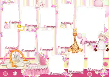 Inscripción en el marco: 1 año