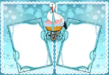 Efecto de fotos de la categoría El Primer año de vida № 192890