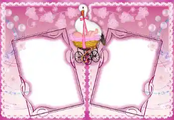 Efecto de fotos de la categoría El Primer año de vida № 192937