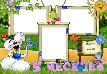 Inscripción en el marco: 5 meses Inscripción en el marco: 5 meses