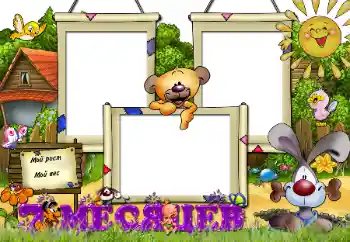 Inscripción en el marco: 7 meses Inscripción en el marco: 7 meses