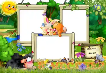 Inscripción en el marco: 8 meses