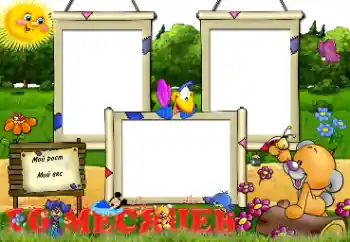 Inscripción en el marco: 10 meses