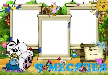 Inscripción en el marco: 9 meses Inscripción en el marco: 9 meses