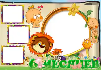 Inscripción en el marco: 6 meses