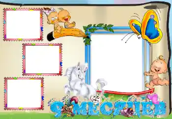 Inscripción en el marco: 9 meses Inscripción en el marco: 9 meses