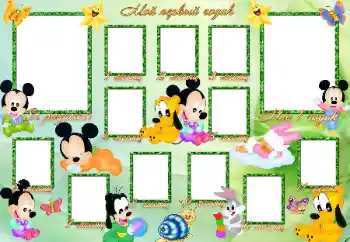 Inscripción en el marco: 1 año