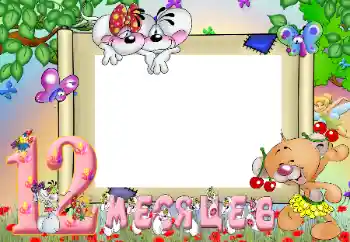 Inscripción en el marco: 12 meses