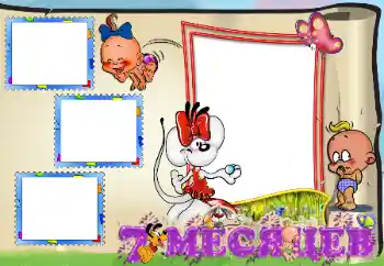 Inscripción en el marco: 7 meses