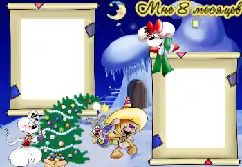 Inscripción en el marco: 8 meses