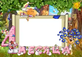 Inscripción en el marco: 4 meses