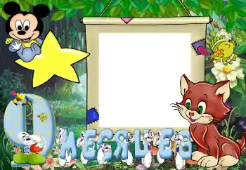 Inscripción en el marco: 9 meses