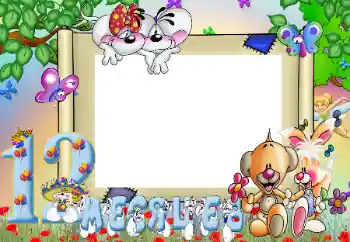 Inscripción en el marco: 12 meses