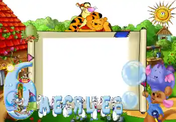 Inscripción en el marco: 6 meses