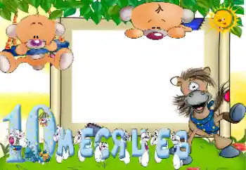 Inscripción en el marco: 10 meses