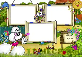 Inscripción en el marco: 11 meses