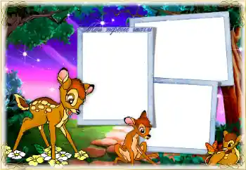 Inscripción en el marco: Primeros pasos