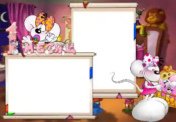 Inscripción en el marco: 1 meses