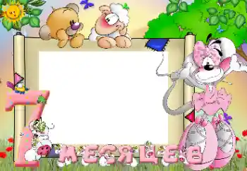 Inscripción en el marco: 7 meses