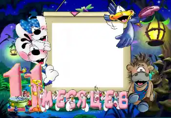 Inscripción en el marco: 11 meses