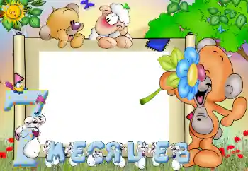 Inscripción en el marco: 7 meses