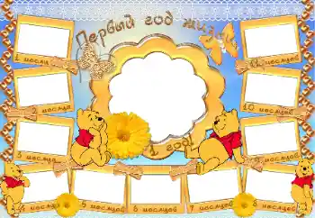 Inscripción en el marco: 1 año Inscripción en el marco: 1 año